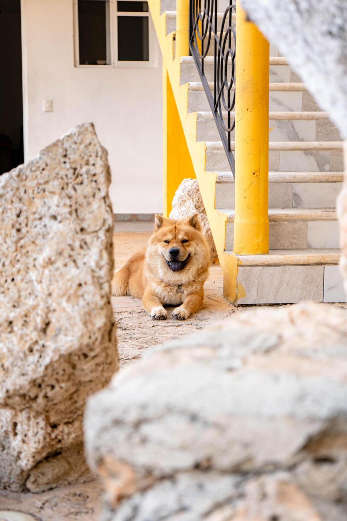 Bed and Breakfast Buenosdias Izamal Exterior foto
